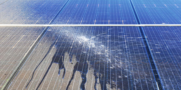 Solar Panel Cleaning Ulladulla 03