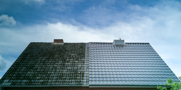 Roof Cleaning Ulladulla 03